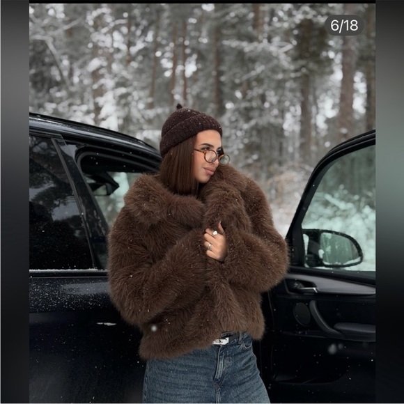 ZARA SHORT FAUX FUR COAT - Picture 6 of 16